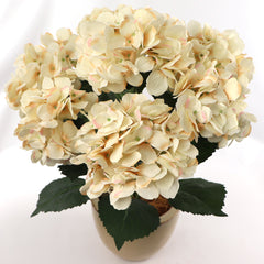Hydrangea Bush w/ 7 Silk Blooms - 20" - Larksilk
