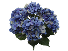 Hydrangea Bush w/ 7 Silk Blooms - 20" - Larksilk