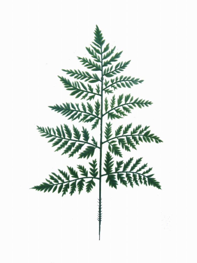 13" LEATHER LEAF 2024 Christmas Collection - Larksilk