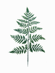 13" LEATHER LEAF 2024 Christmas Collection - Larksilk