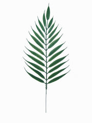 14" EMERALD FERN -2025 Christmas Collection - Larksilk