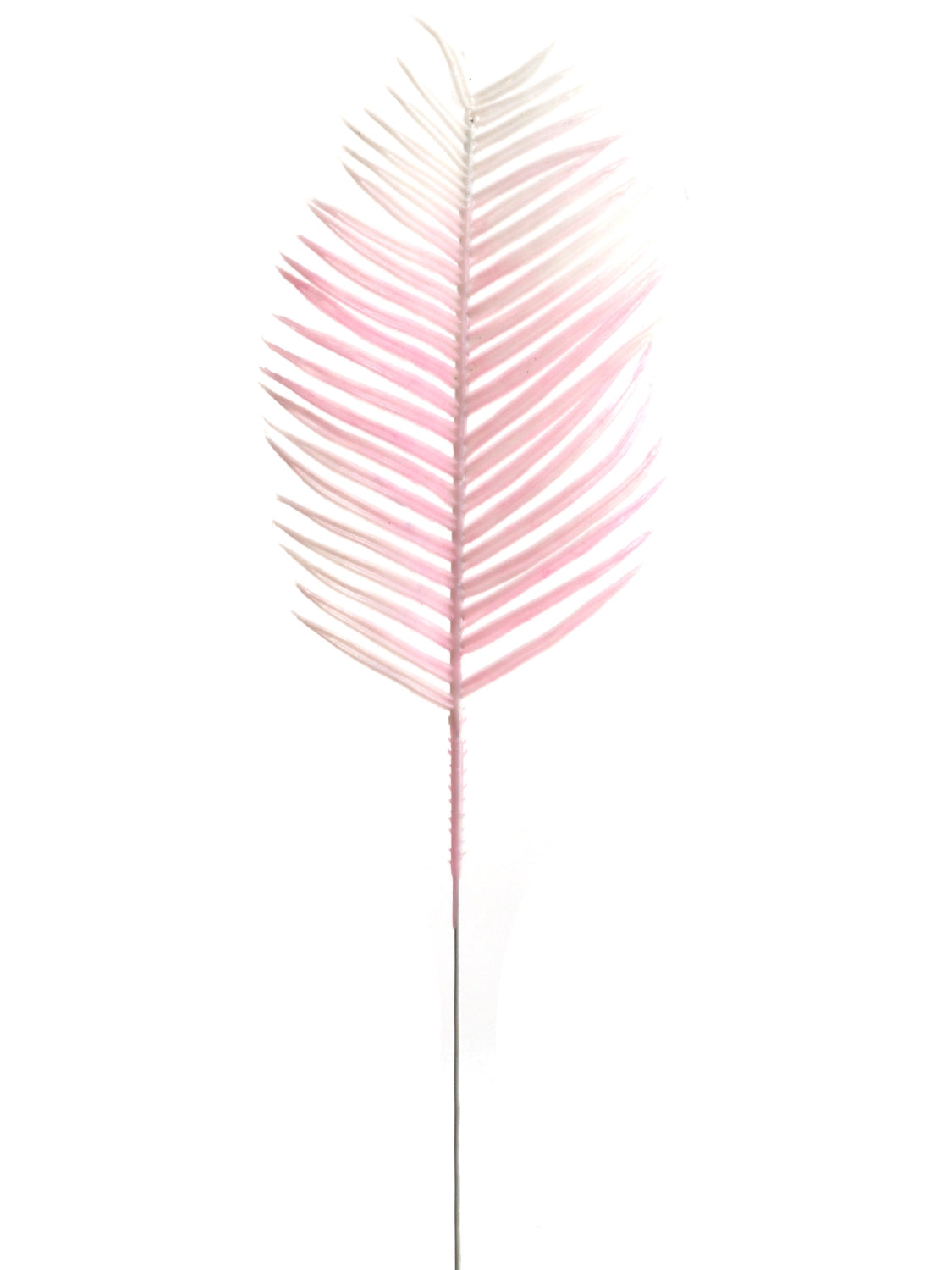 6" CYCUS - Larksilk