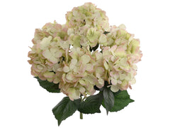Hydrangea Bush w/ 7 Silk Blooms - 20" - Larksilk