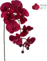 33.5" PHAL 9FL (2/PC BAG) - Burgundy