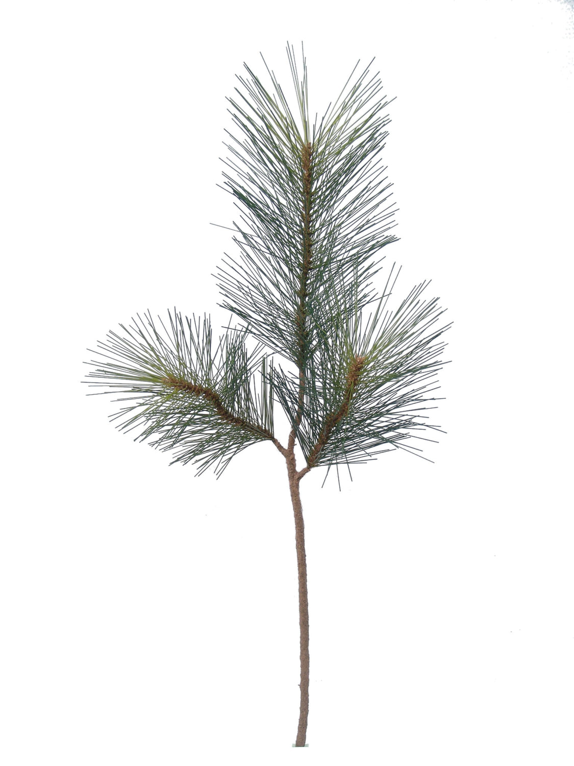 30" SUGAR PINE PICK 2024 Christmas Collection - Larksilk