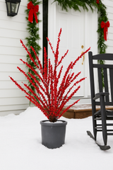 35" Berry Spray Bundle X6 - Larksilk