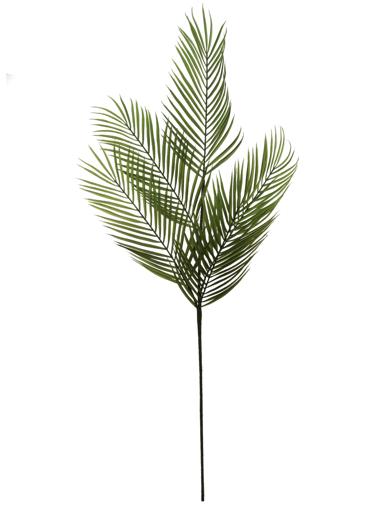43"PALM FROND SPRAY - Larksilk