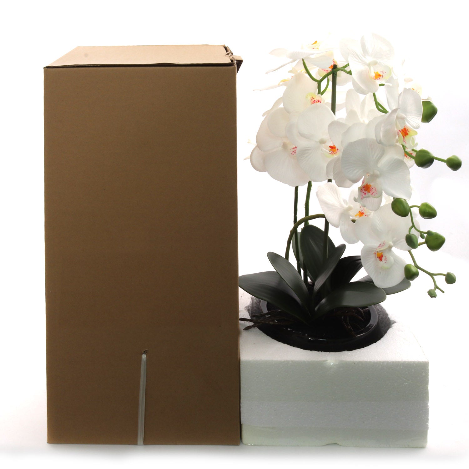 15" x 9" White Orchid with 7" Round Pot - Larksilk