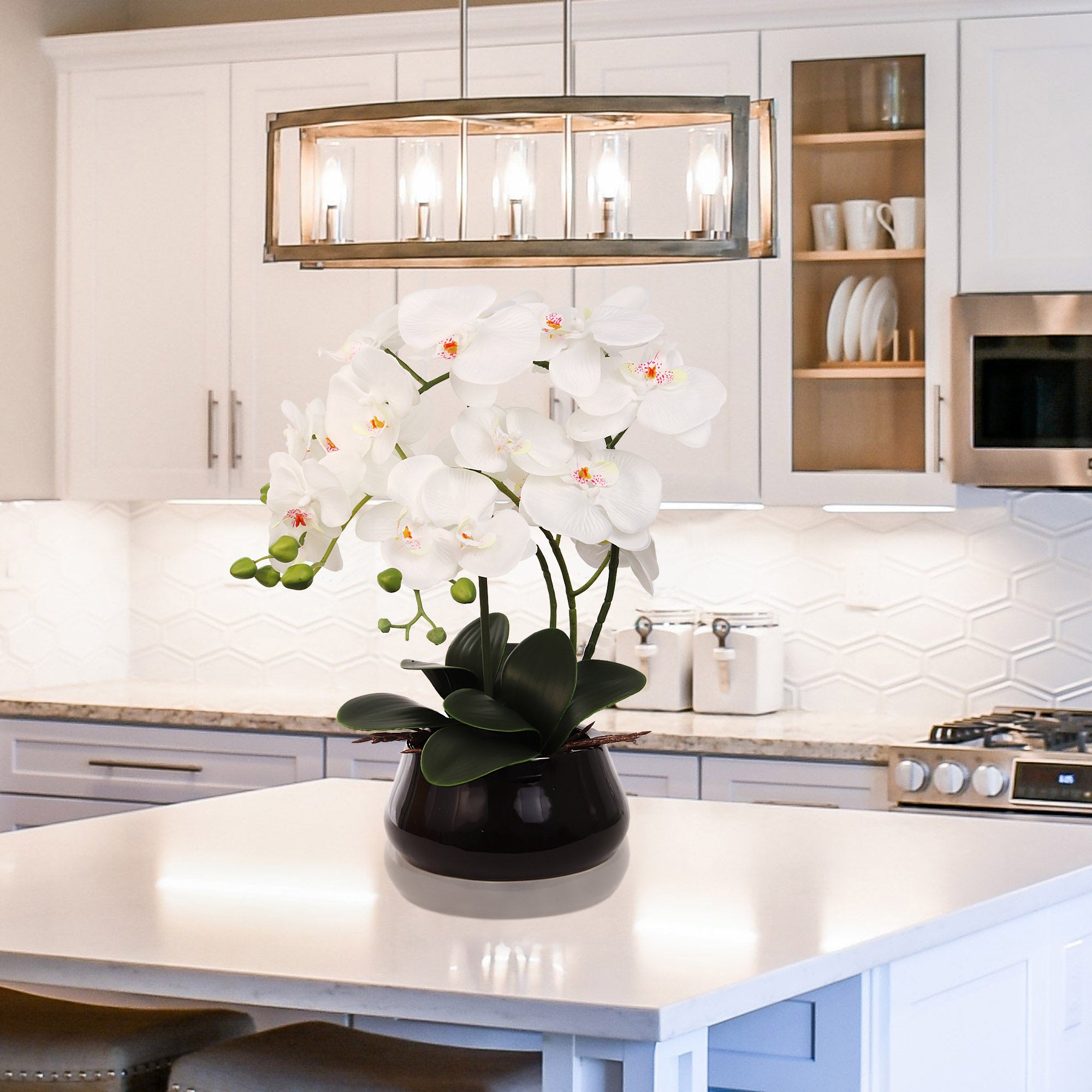 15" x 9" White Orchid with 7" Round Pot - Larksilk