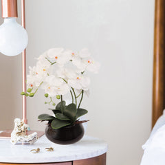 15" x 9" White Orchid with 7" Round Pot - Larksilk