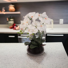White Phalaenopsis Orchid Arrangement in Ceramic Vase - 15"