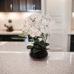 White Phalaenopsis Orchid Arrangement in Ceramic Vase - 15"