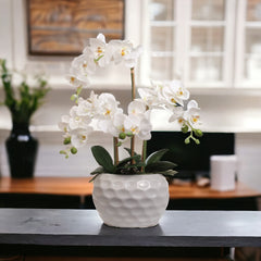 White Phalaenopsis Orchid Arrangement in Ceramic Vase - 20"