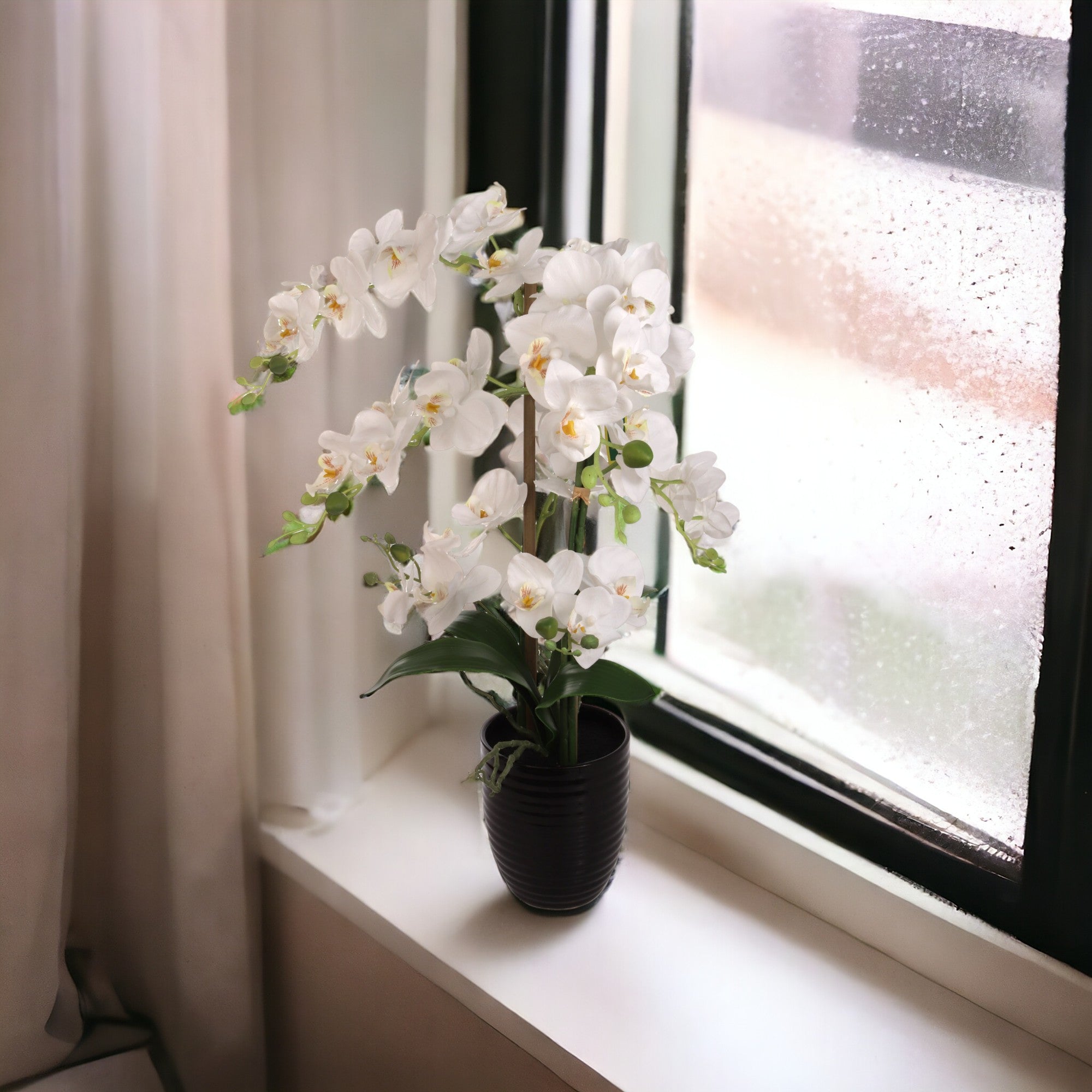 White Phalaenopsis Orchid Arrangement in Black Ceramic Vase - 22" - Larksilk