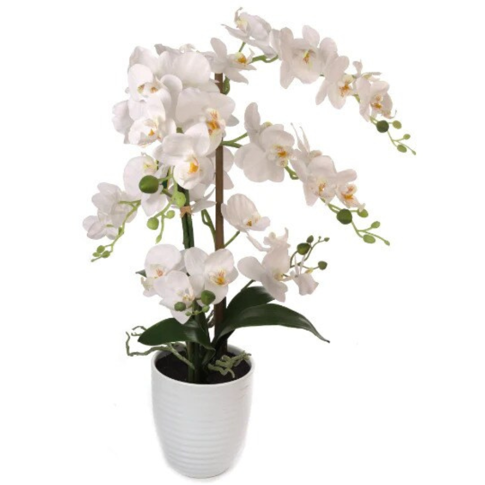 22" x 18" White Phalaenopsis Orchid with 5" White Ribbed Pot - Realistic Faux Orchid Plant with 34 Flowers and 4 Leaves - Larksilk