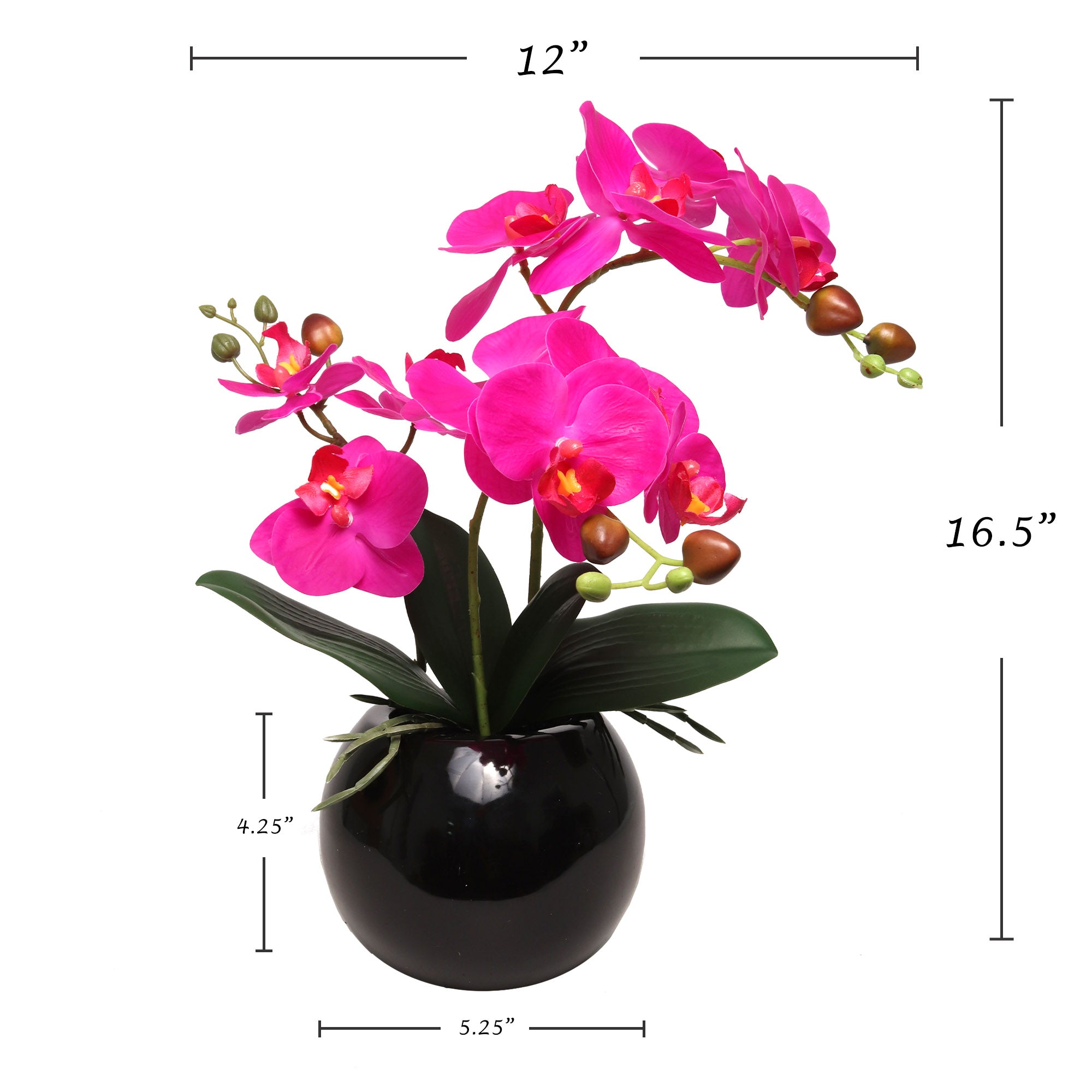 13-Inch Fuchsia Phalaenopsis Orchid Flowers in 5-Inch Round Black Vase - Larksilk