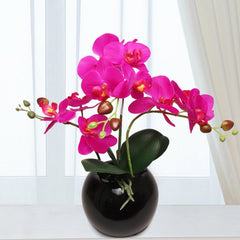 13-Inch Fuchsia Phalaenopsis Orchid Flowers in 5-Inch Round Black Vase - Larksilk