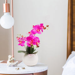 13-Inch Fuchsia Phalaenopsis Orchid Flowers in 5-Inch Round White Pot - Larksilk