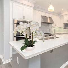 19"x13" White Phalaenopsis Orchid Arrangement in White Bowl - Elegant Faux Floral Display for Home and Office Decor - Larksilk