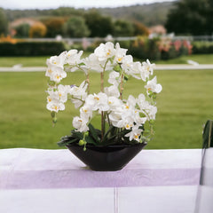 White Phalaenopsis Orchid Arrangement in Ceramic Vase - 18"
