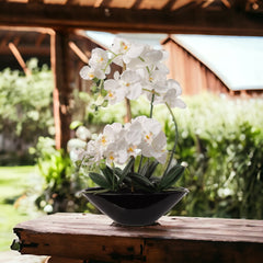 White Phalaenopsis Orchid Arrangement in Black Ceramic Vase - 19"