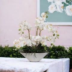 White Phalaenopsis Orchid Arrangement in Ceramic Vase - 18"