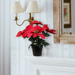 13" Red Velvet Poinsettia Bush in Black Pot with 5 Silk Flowers Pack of 6 2024 Christmas Collection - Larksilk
