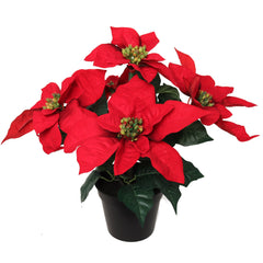 13" Red Velvet Poinsettia Bush in Black Pot with 5 Silk Flowers Pack of 6 2024 Christmas Collection - Larksilk