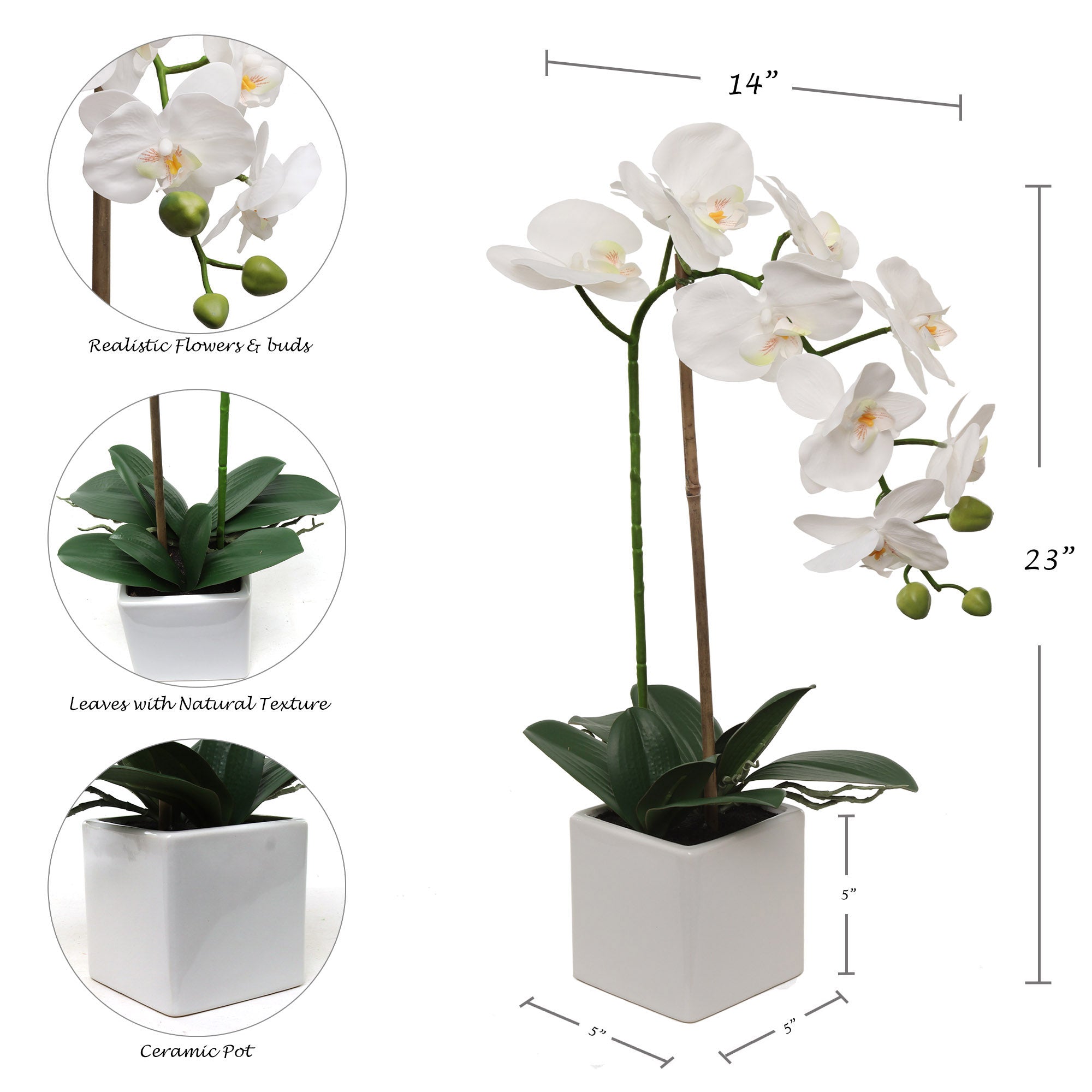 White Phalaenopsis in 5" Cube White Pot, Elegant Lifelike Orchid, Ideal for Home, Office, and Tabletop Decor - Larksilk