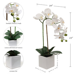 White Phalaenopsis in 5" Cube White Pot, Elegant Lifelike Orchid, Ideal for Home, Office, and Tabletop Decor - Larksilk