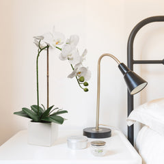 White Phalaenopsis in 5" Cube White Pot, Elegant Lifelike Orchid, Ideal for Home, Office, and Tabletop Decor - Larksilk