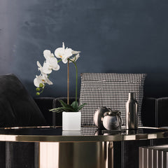 White Phalaenopsis in 5" Cube White Pot, Elegant Lifelike Orchid, Ideal for Home, Office, and Tabletop Decor - Larksilk