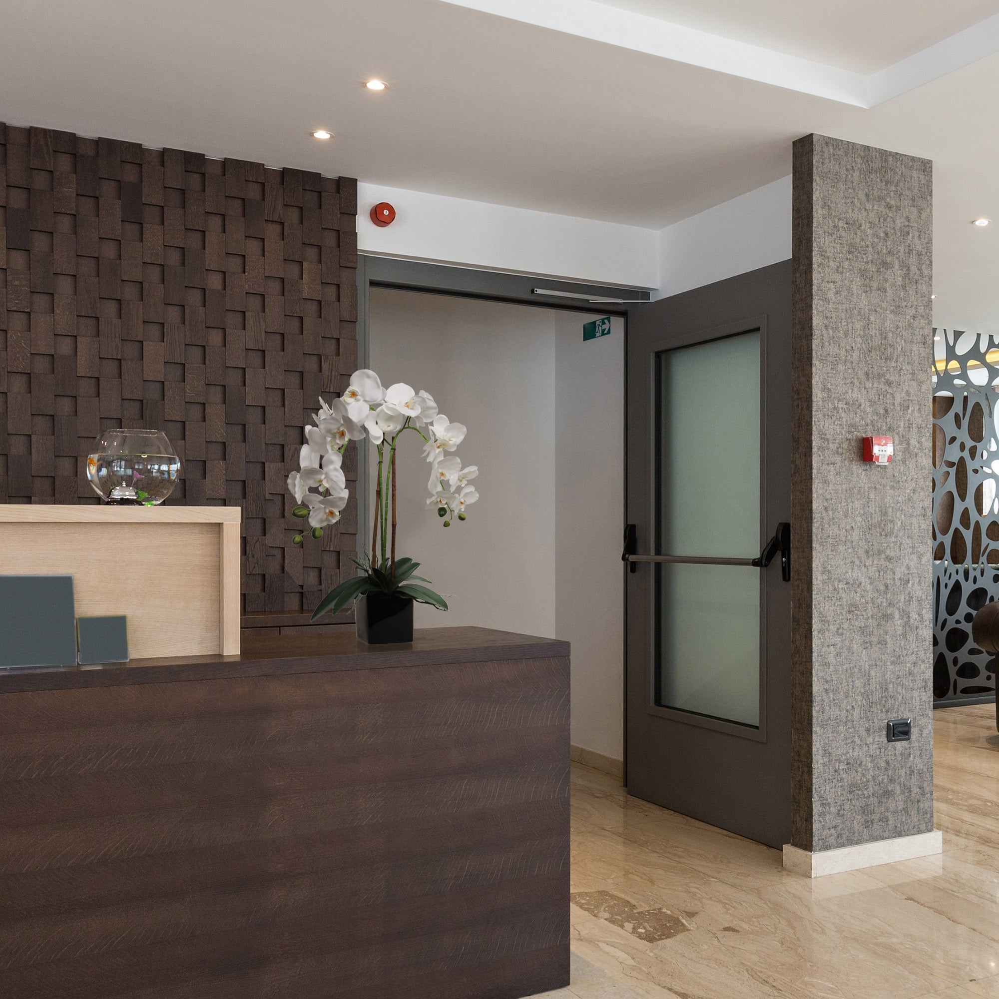 2 White Orchid in 5" Black Cube Pot - Larksilk