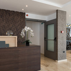 2 White Orchid in 5" Black Cube Pot - Larksilk