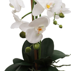 25-Inch Realistic White Orchid Arrangement – Artificial Phalaenopsis Flowers with Natural Leaf Details in Ceramic Pot for Home & Office Decor - Larksilk