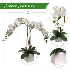 25-Inch Realistic White Orchid Arrangement – Artificial Phalaenopsis Flowers with Natural Leaf Details in Ceramic Pot for Home & Office Decor - Larksilk