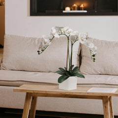 25-Inch Realistic White Orchid Arrangement – Artificial Phalaenopsis Flowers with Natural Leaf Details in Ceramic Pot for Home & Office Decor - Larksilk