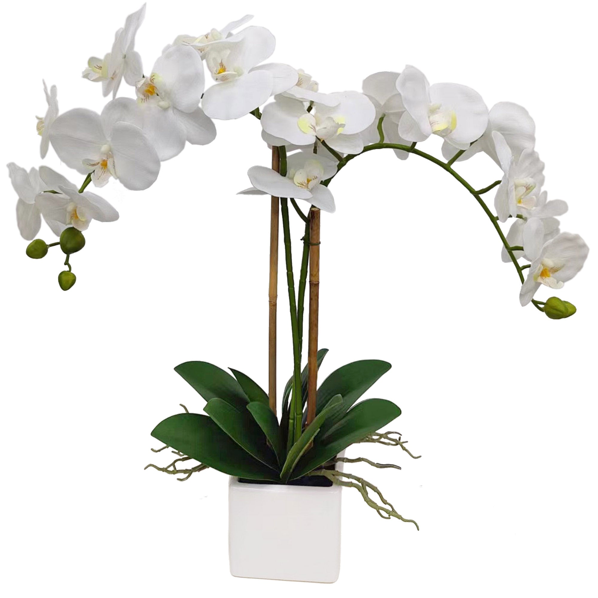 25-Inch Realistic White Orchid Arrangement – Artificial Phalaenopsis Flowers with Natural Leaf Details in Ceramic Pot for Home & Office Decor - Larksilk