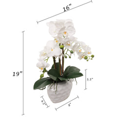 19" White Phalaenopsis Orchid Flowers in Dimple White Pot - Larksilk