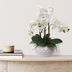 19" White Phalaenopsis Orchid Flowers in Dimple White Pot - Larksilk
