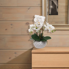 19" White Phalaenopsis Orchid Flowers in Dimple White Pot - Larksilk