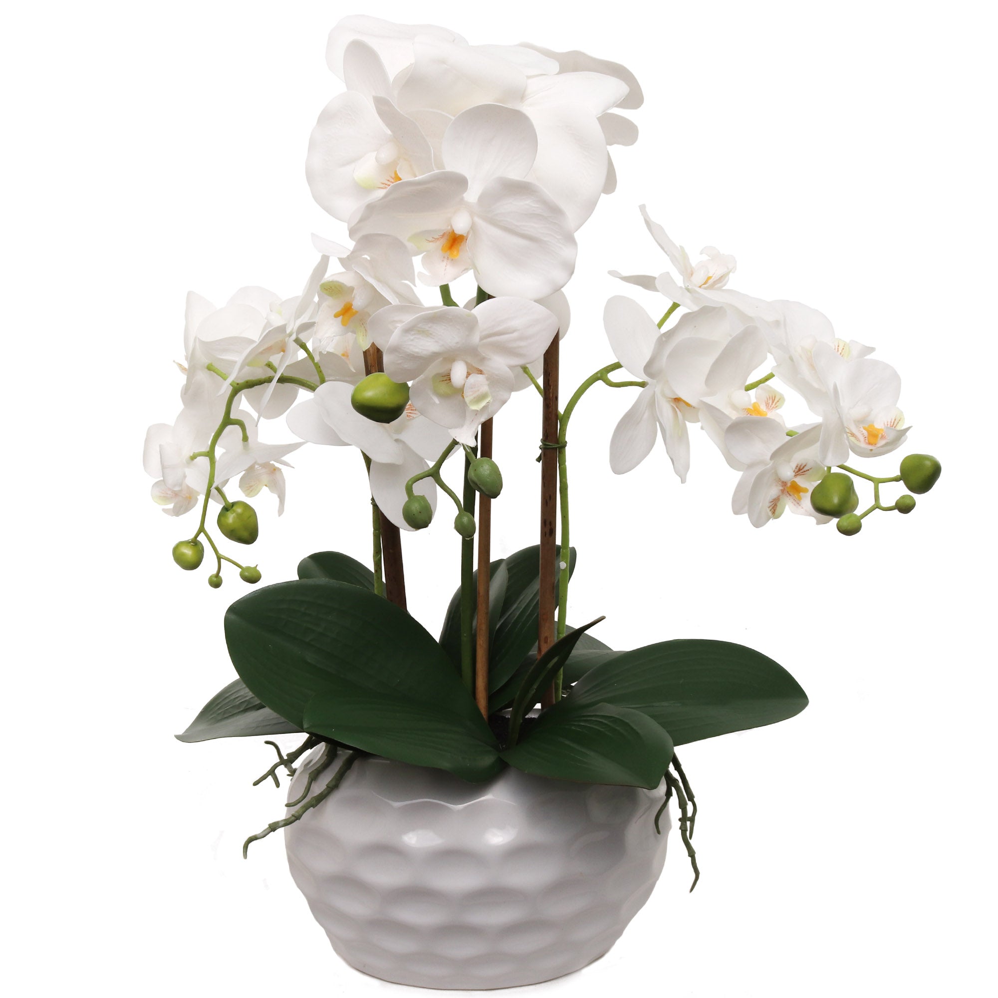 19" White Phalaenopsis Orchid Flowers in Dimple White Pot - Larksilk