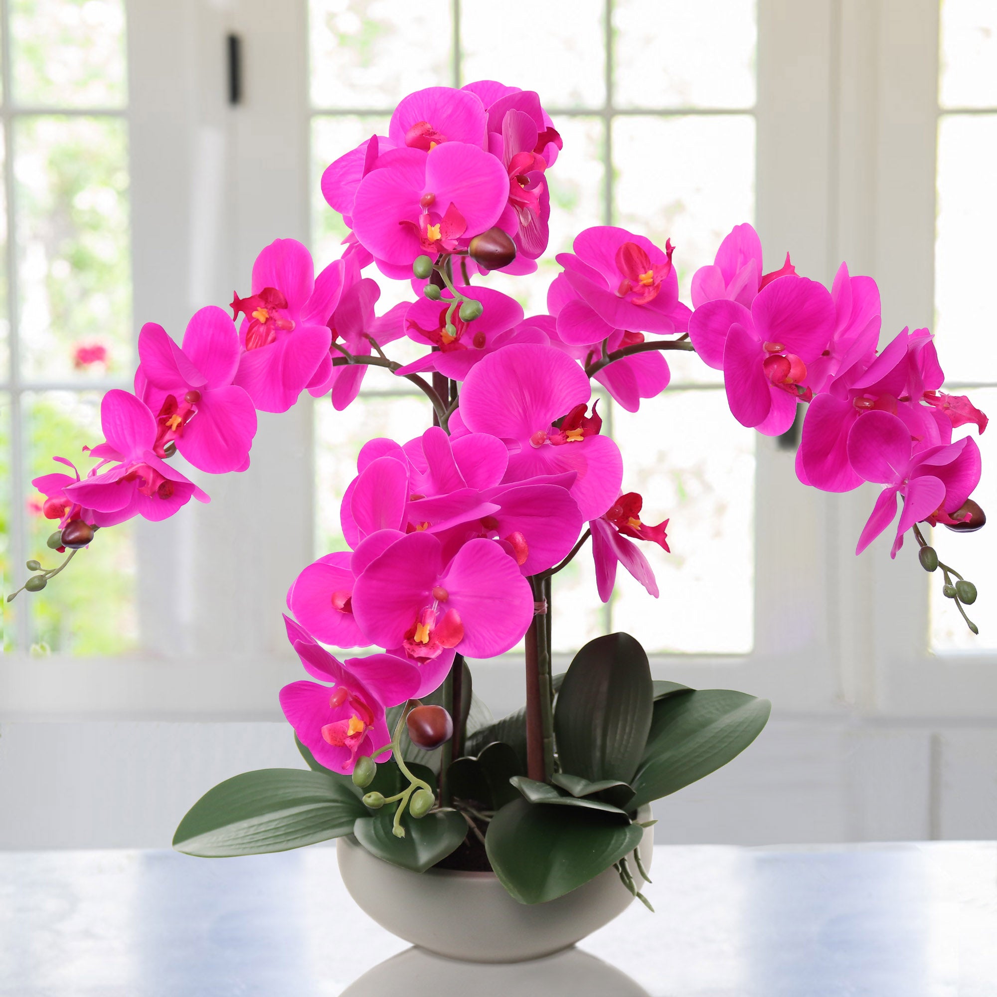 20" Fuchsia Phalaenopsis Orchid in Round Grey Pot - Larksilk