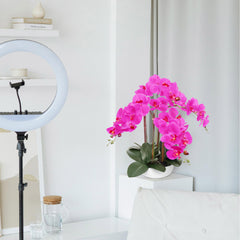 20" Fuchsia Phalaenopsis Orchid – Stunning Artificial Flowers - Larksilk