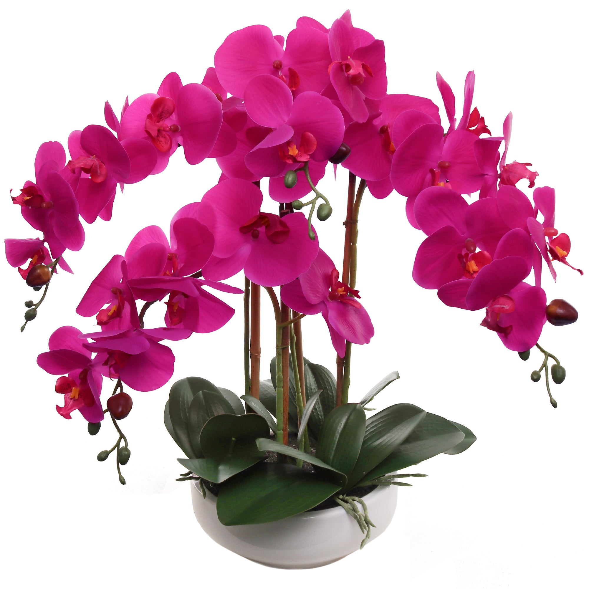 20" Fuchsia Phalaenopsis Orchid – Stunning Artificial Flowers - Larksilk