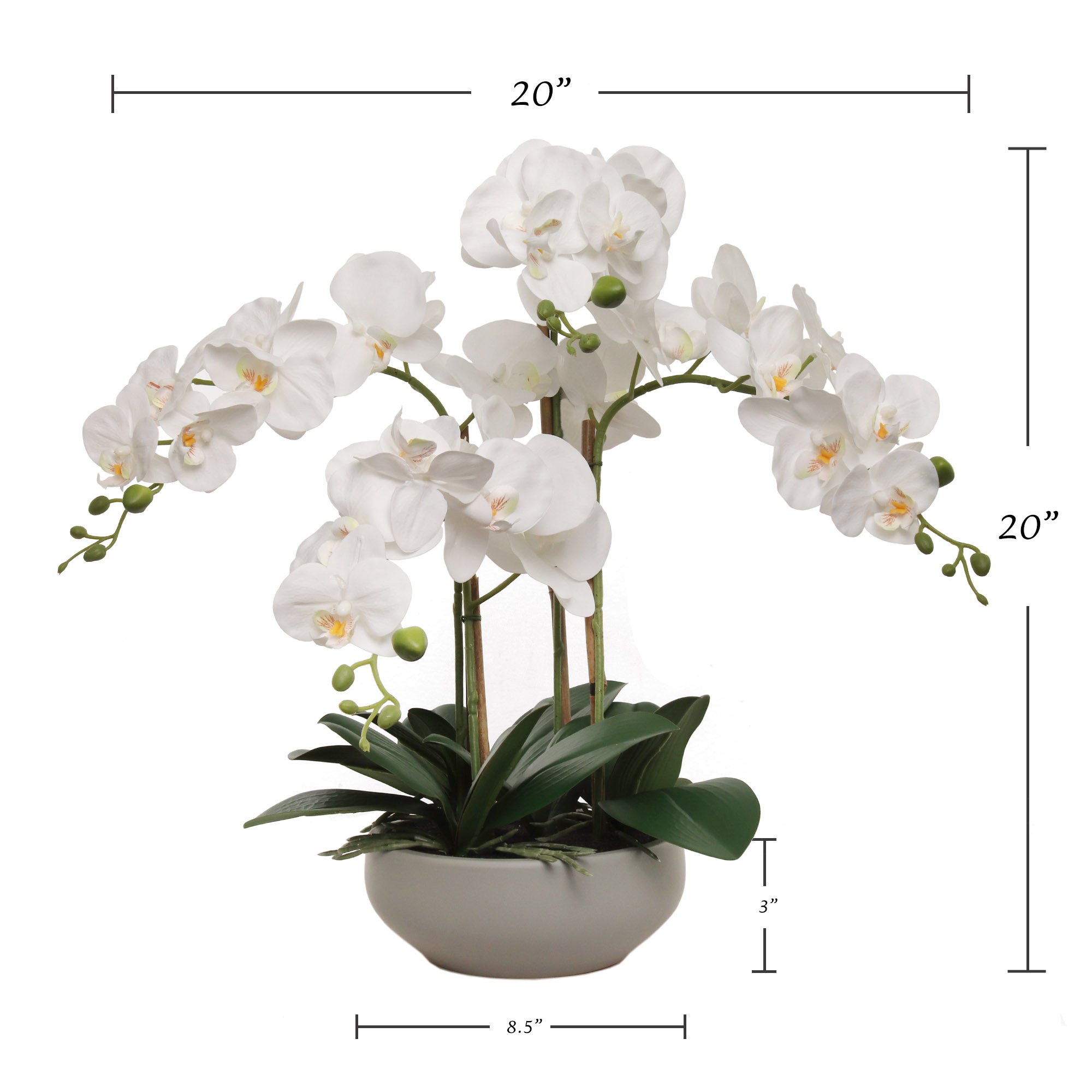 20" White Phalaenopsis Orchid Flowers in Round Grey Pot - Larksilk