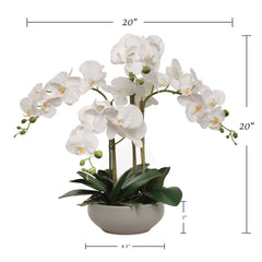 20" White Phalaenopsis Orchid Flowers in Round Grey Pot - Larksilk
