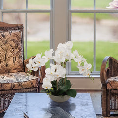 20" White Phalaenopsis Orchid Flowers in Round Grey Pot - Larksilk