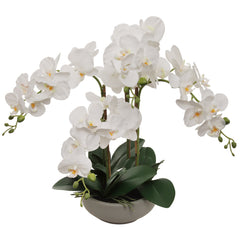20" White Phalaenopsis Orchid Flowers in Round Grey Pot - Larksilk