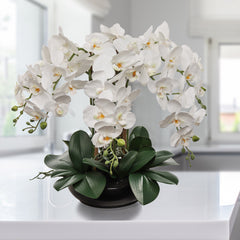 20" White Phalaenopsis Orchid - Lifelike Flower Arrangement - Larksilk
